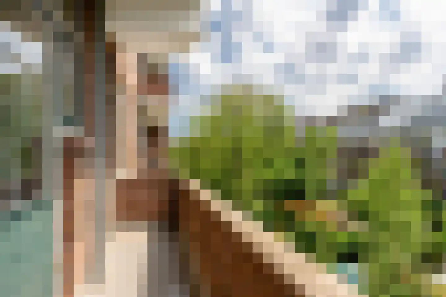 Stadhoudersweg 32 B Rotterdam thumbnail 20