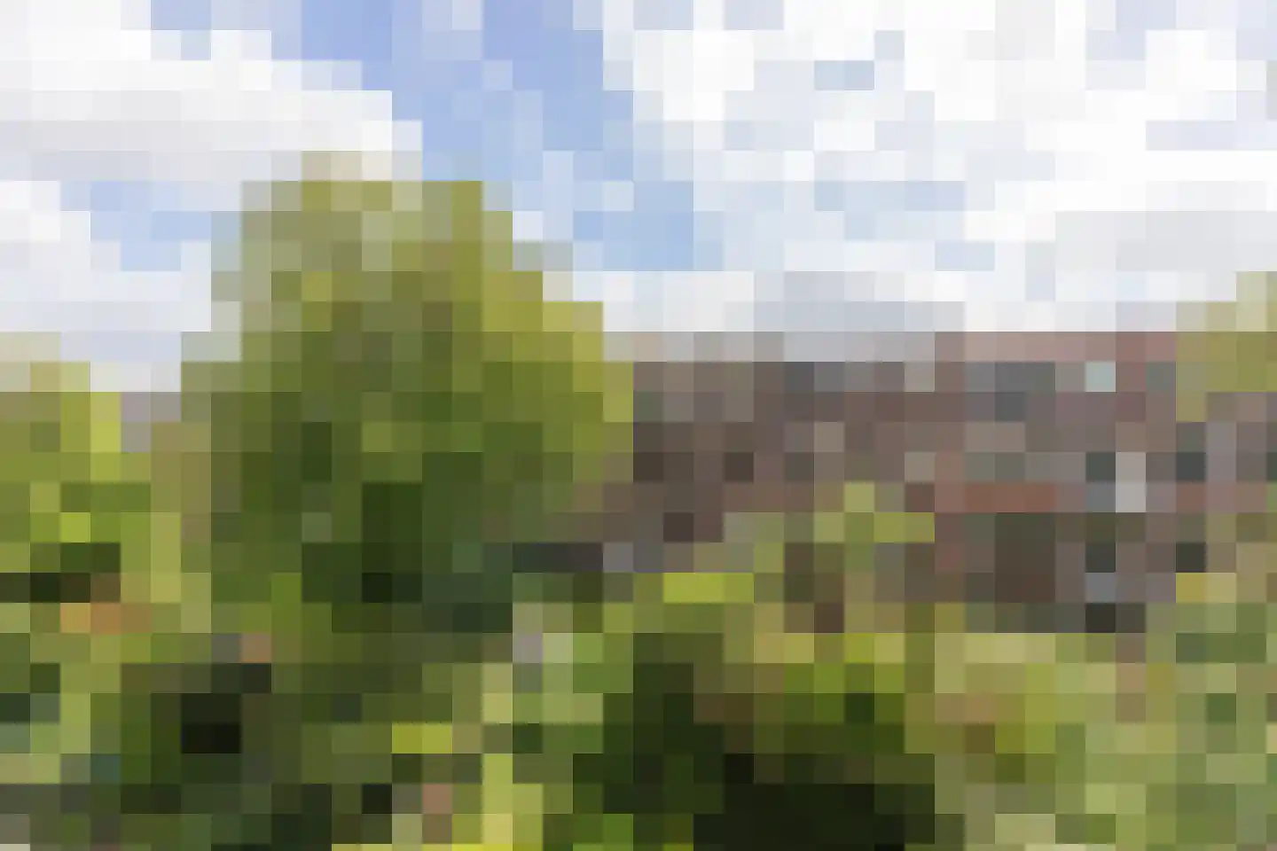 Stadhoudersweg 36 C Rotterdam thumbnail 15