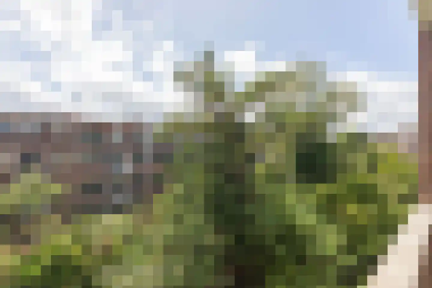 Stadhoudersweg 36 C Rotterdam thumbnail 23