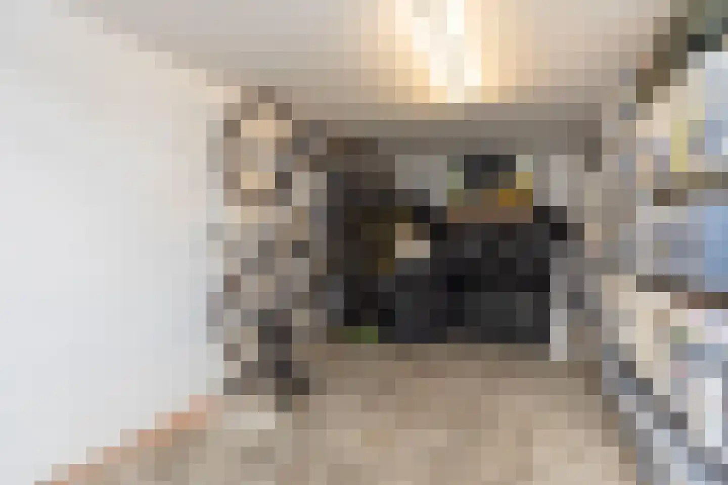 Stadhoudersweg 36 C Rotterdam thumbnail 24