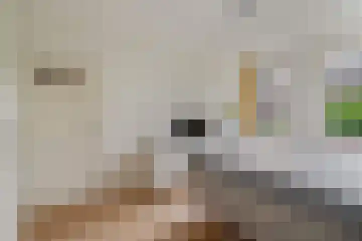 Stadhoudersweg 38 A Rotterdam thumbnail 18