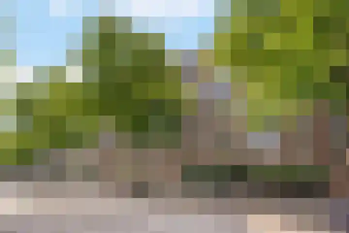 Stadhoudersweg 38 A Rotterdam thumbnail 29