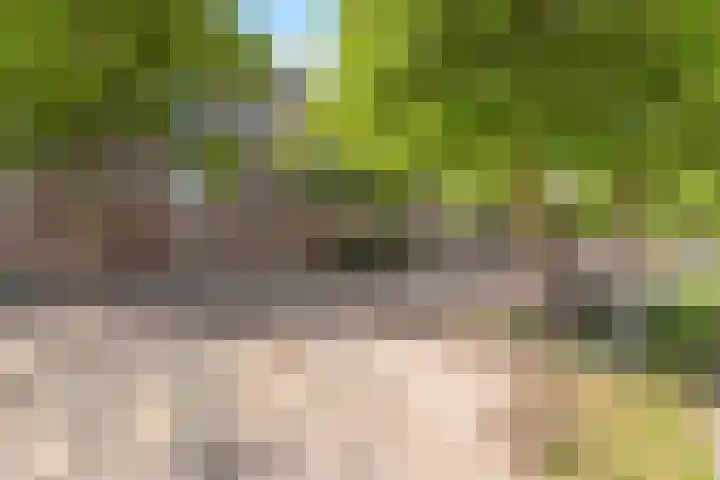 Stadhoudersweg 38 A Rotterdam thumbnail 30