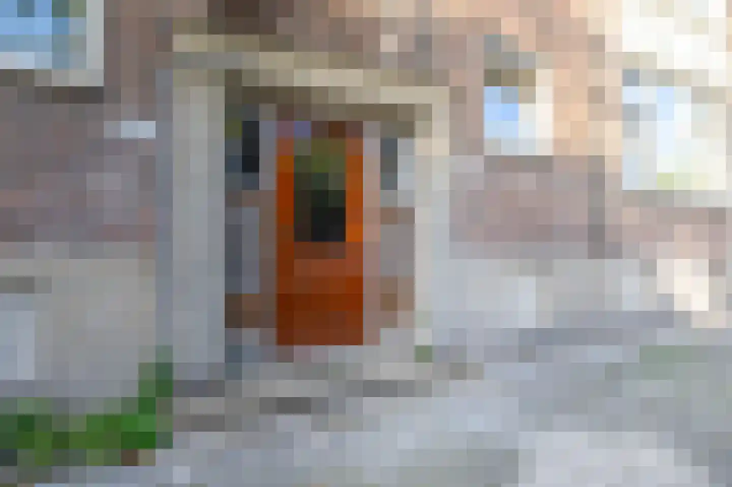 Stadhoudersweg 39 C Rotterdam thumbnail 10