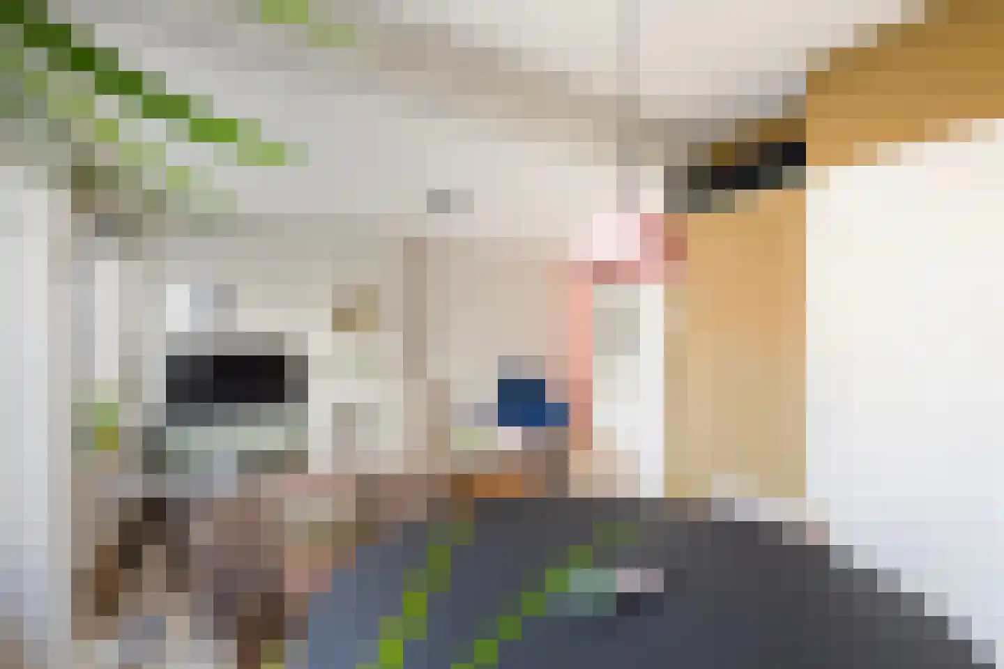 Stadhoudersweg 40 C Rotterdam thumbnail 18