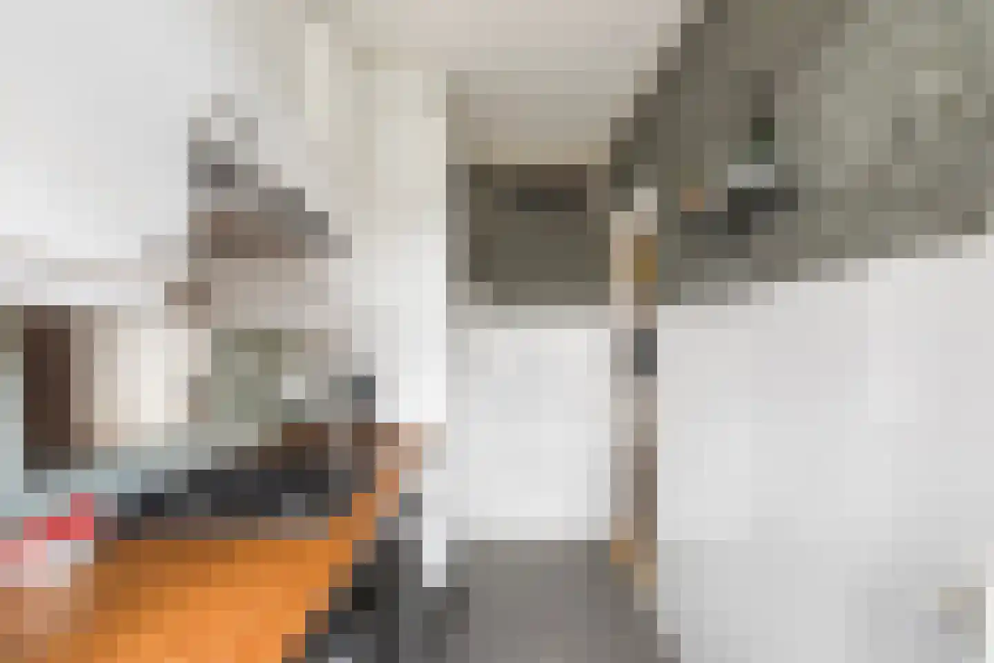 Stadhoudersweg 40 C Rotterdam thumbnail 27