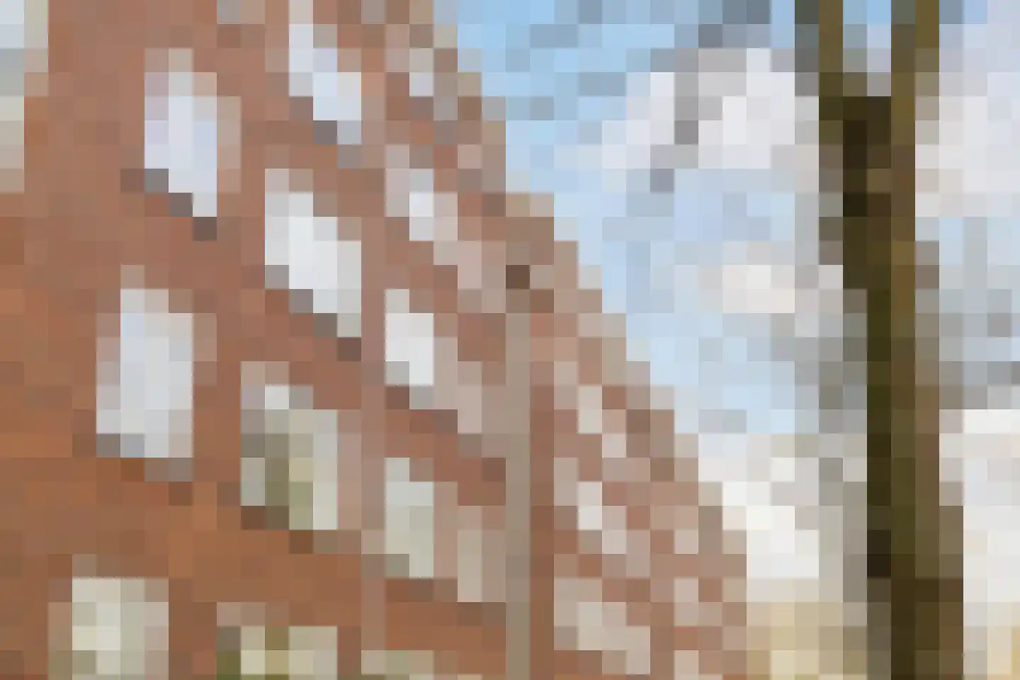 Stadhoudersweg 40 C Rotterdam thumbnail 50