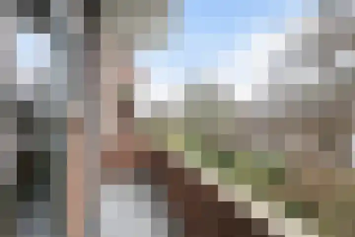 Stadhoudersweg 40 D Rotterdam thumbnail 12
