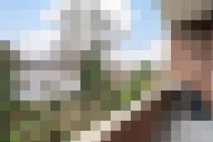 Stadhoudersweg 40 D Rotterdam thumbnail 13