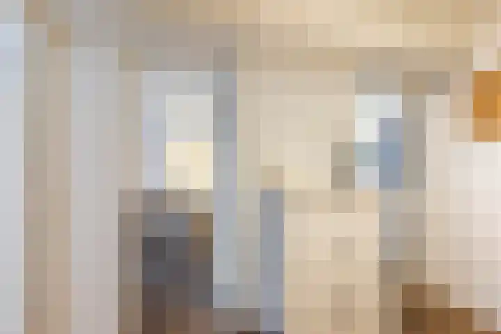 Stadhoudersweg 40 D Rotterdam thumbnail 15
