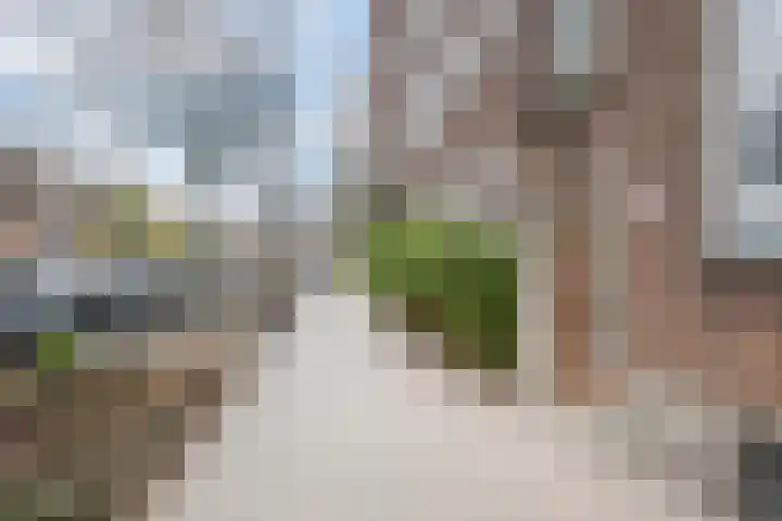 Stadhoudersweg 40 D Rotterdam thumbnail 27