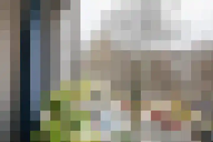 Stadhoudersweg 40 D Rotterdam thumbnail 4
