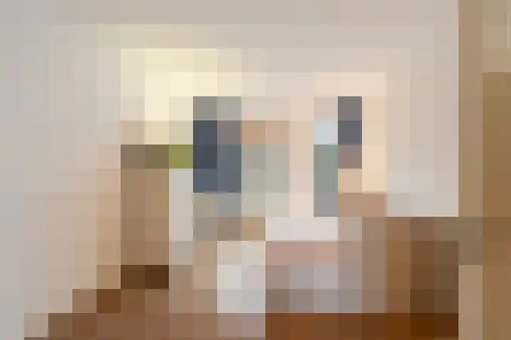 Stadhoudersweg 40 D Rotterdam thumbnail 8
