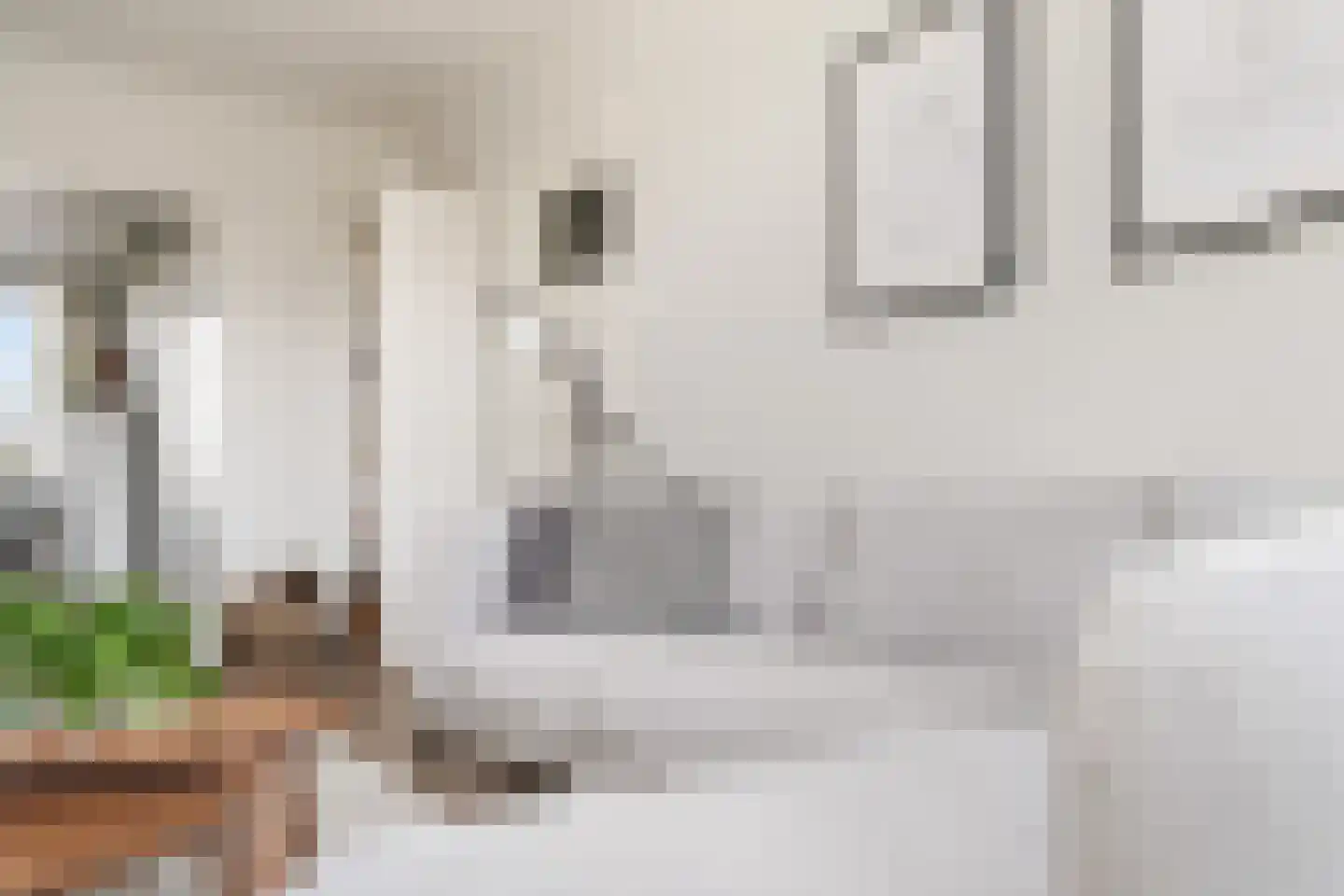Stadhoudersweg 41 D Rotterdam thumbnail 10