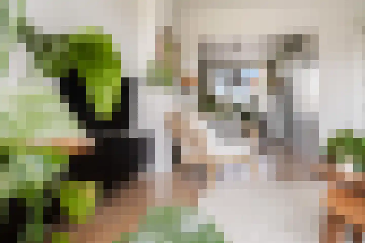 Stadhoudersweg 41 D Rotterdam thumbnail 12
