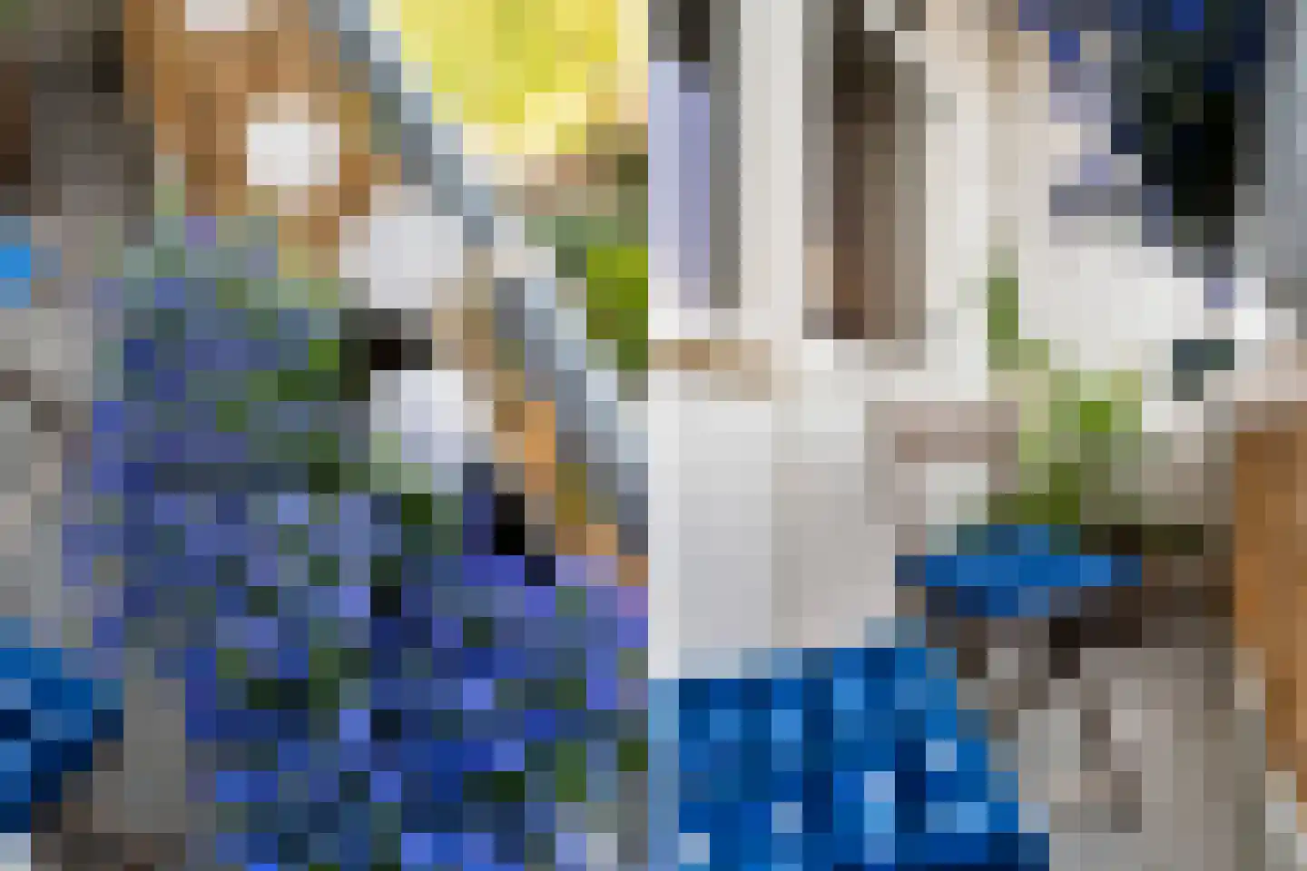 Stadhoudersweg 41 D Rotterdam thumbnail 27