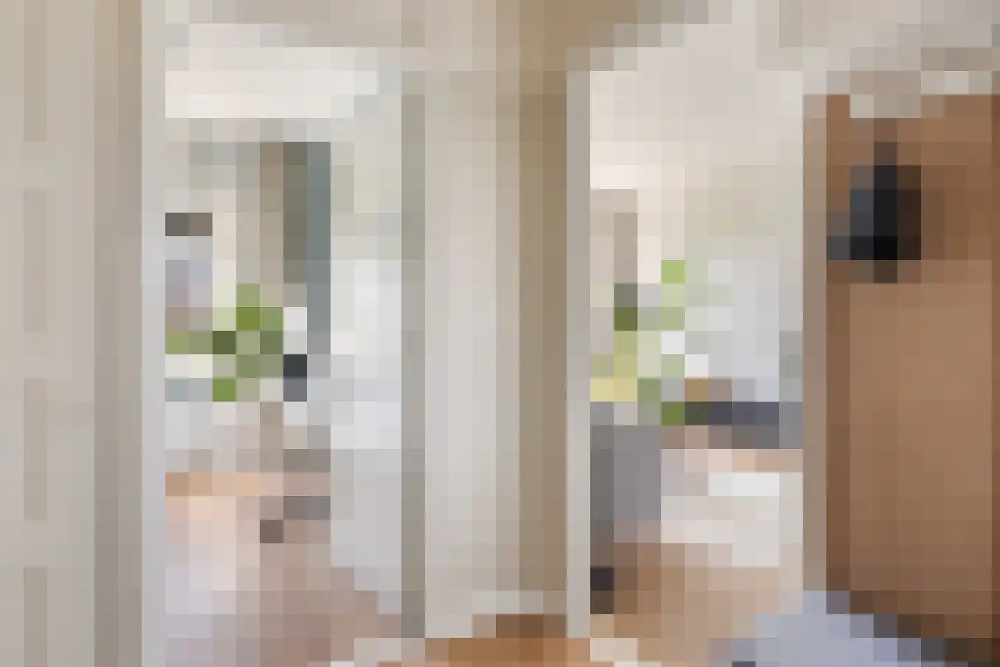 Stadhoudersweg 41 D Rotterdam thumbnail 31