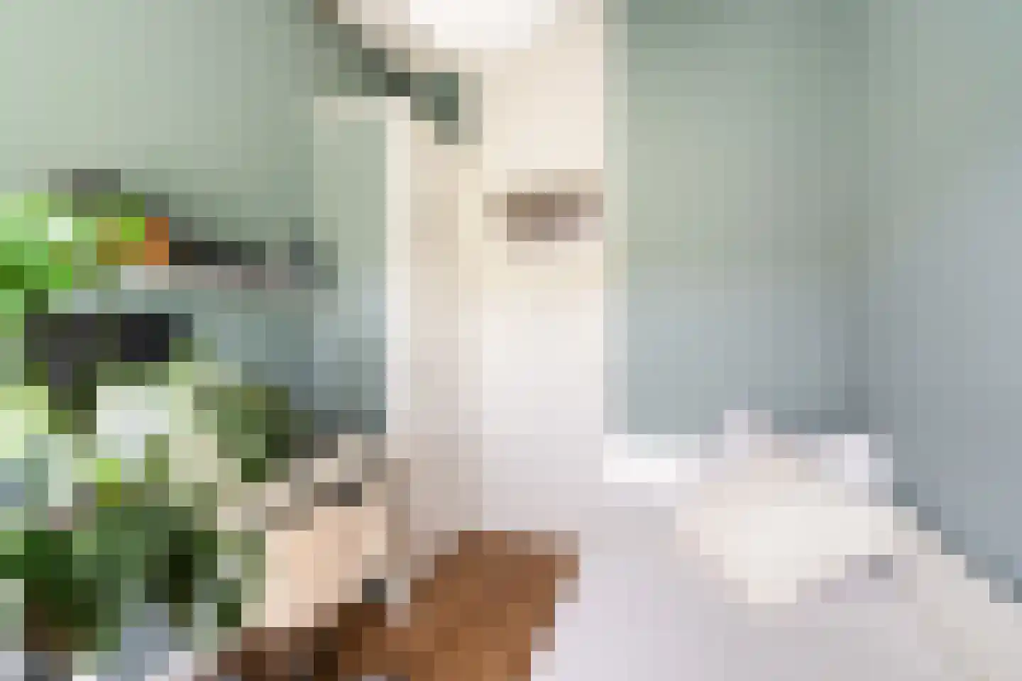 Stadhoudersweg 41 D Rotterdam thumbnail 40
