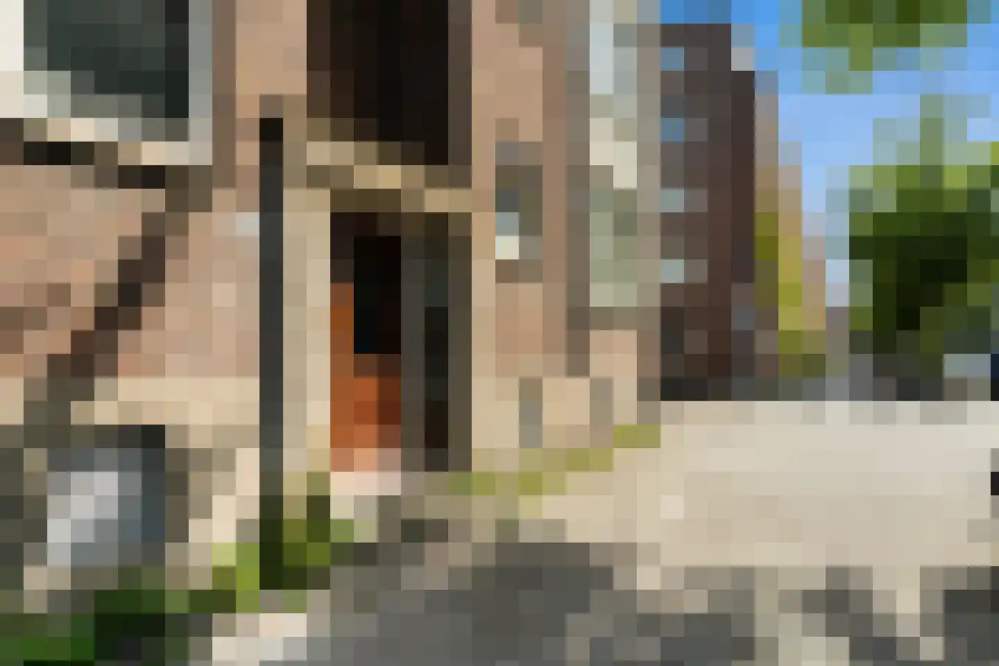 Stadhoudersweg 41 D Rotterdam thumbnail 48