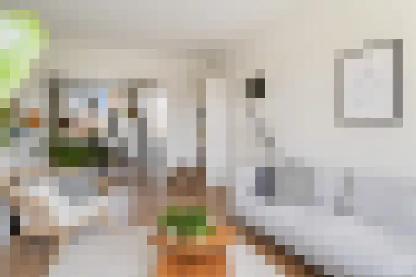 Stadhoudersweg 41 D Rotterdam thumbnail 9