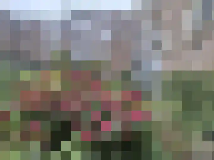 Stadhoudersweg 43 D Rotterdam thumbnail 10