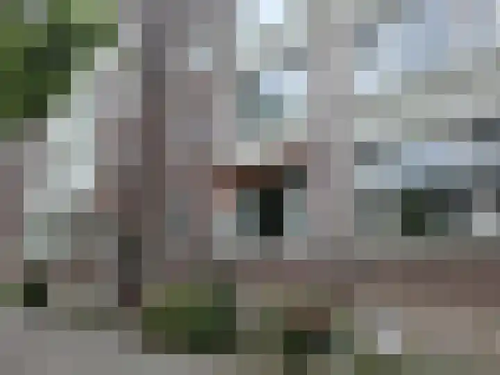Stadhoudersweg 43 D Rotterdam thumbnail 11