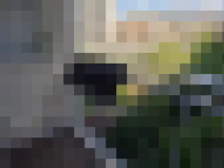 Stadhoudersweg 43 D Rotterdam thumbnail 8