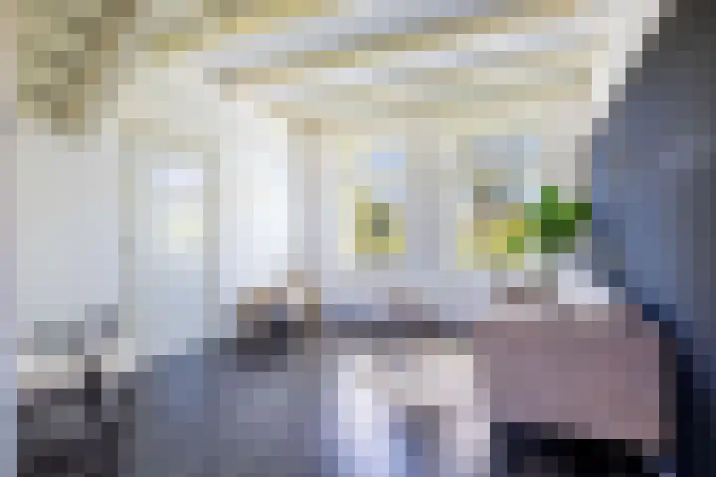 Stadhoudersweg 48 St.-Annaparochie thumbnail 13