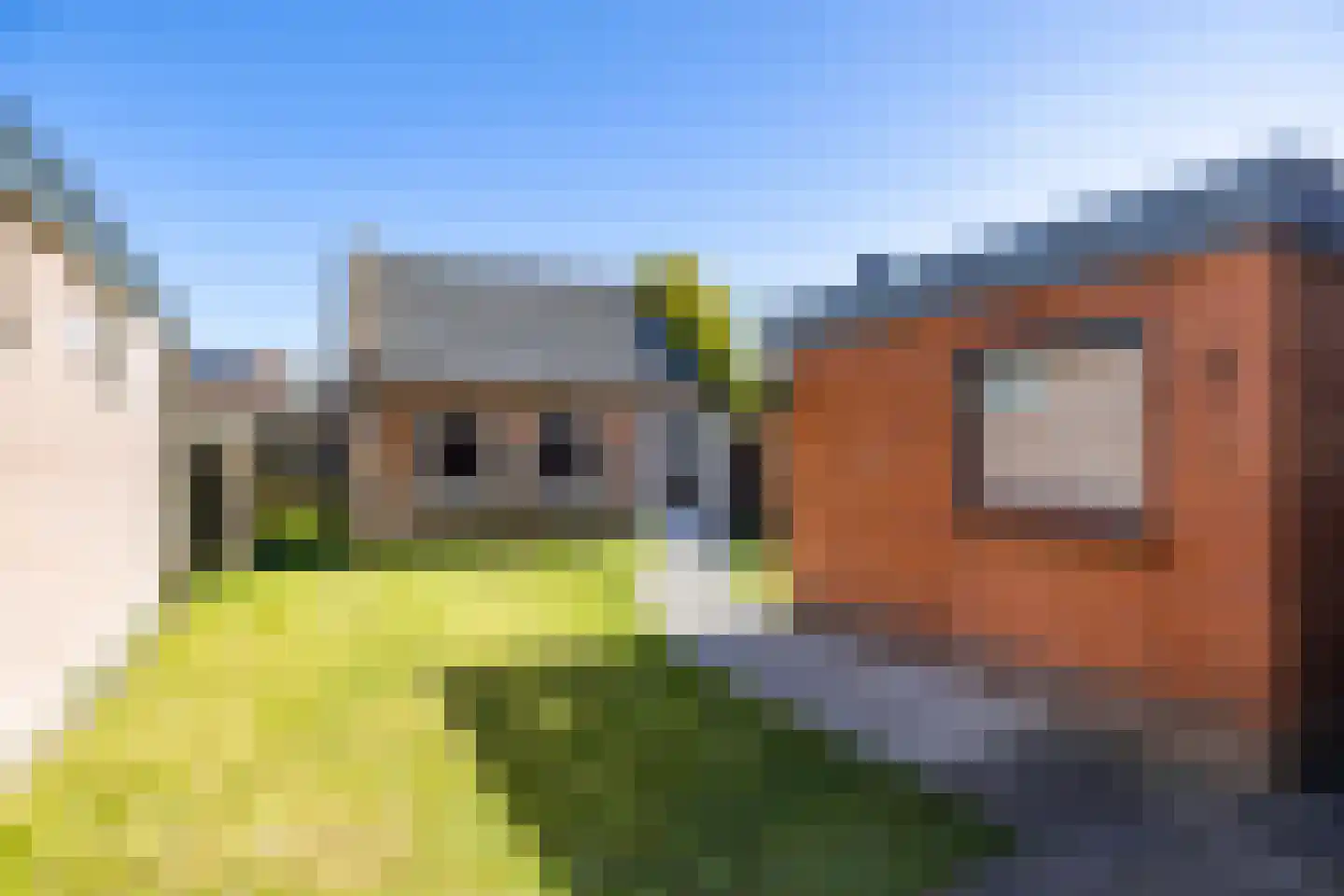 Stadhoudersweg 48 St.-Annaparochie thumbnail 34