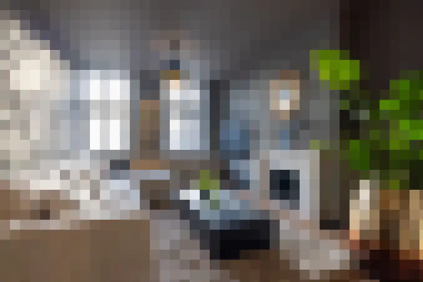 Stadhoudersweg 5 Rotterdam thumbnail 10