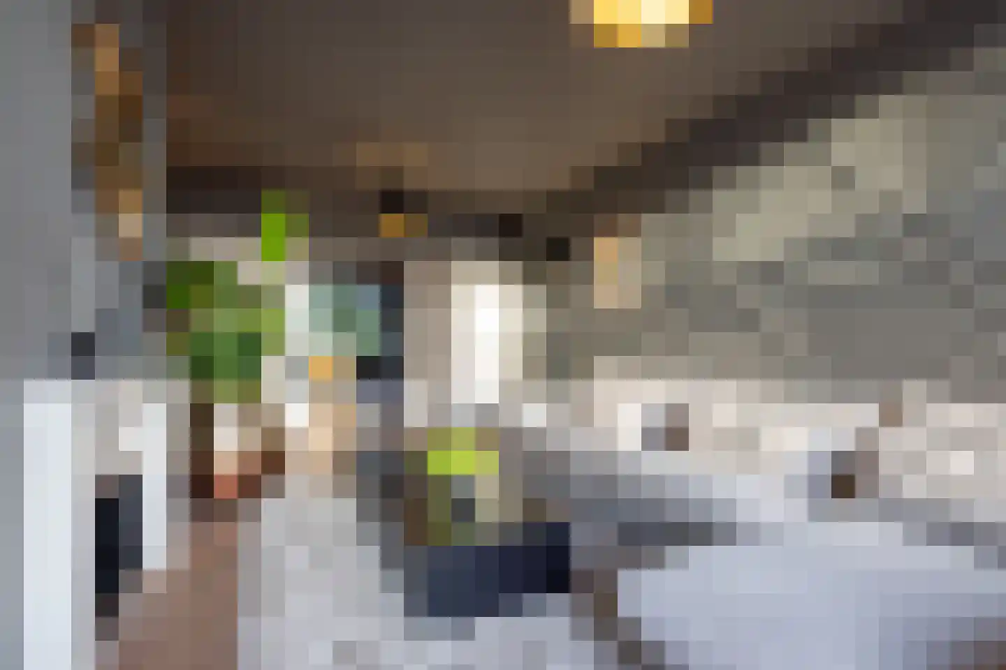 Stadhoudersweg 5 Rotterdam thumbnail 11