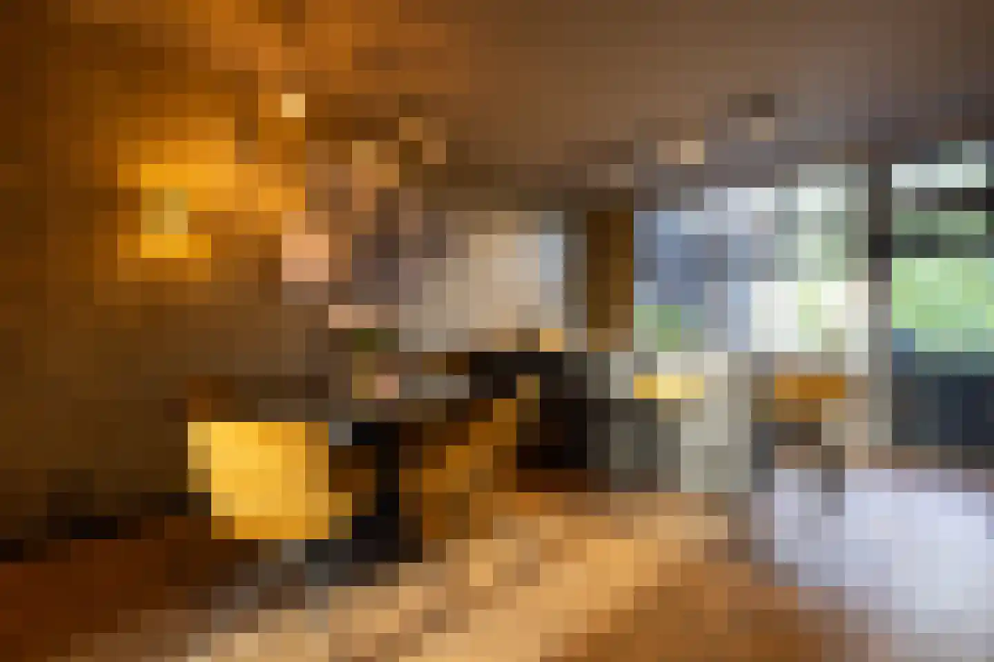 Stadhoudersweg 5 Rotterdam thumbnail 12