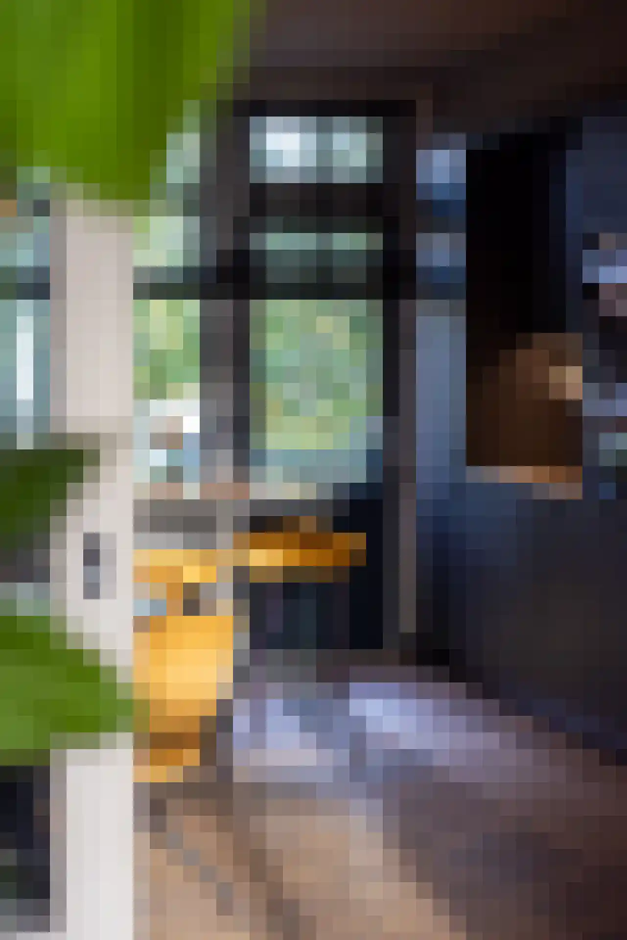 Stadhoudersweg 5 Rotterdam thumbnail 15