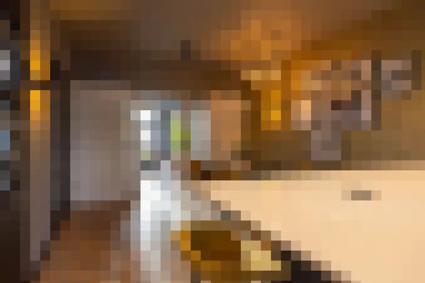 Stadhoudersweg 5 Rotterdam thumbnail 18