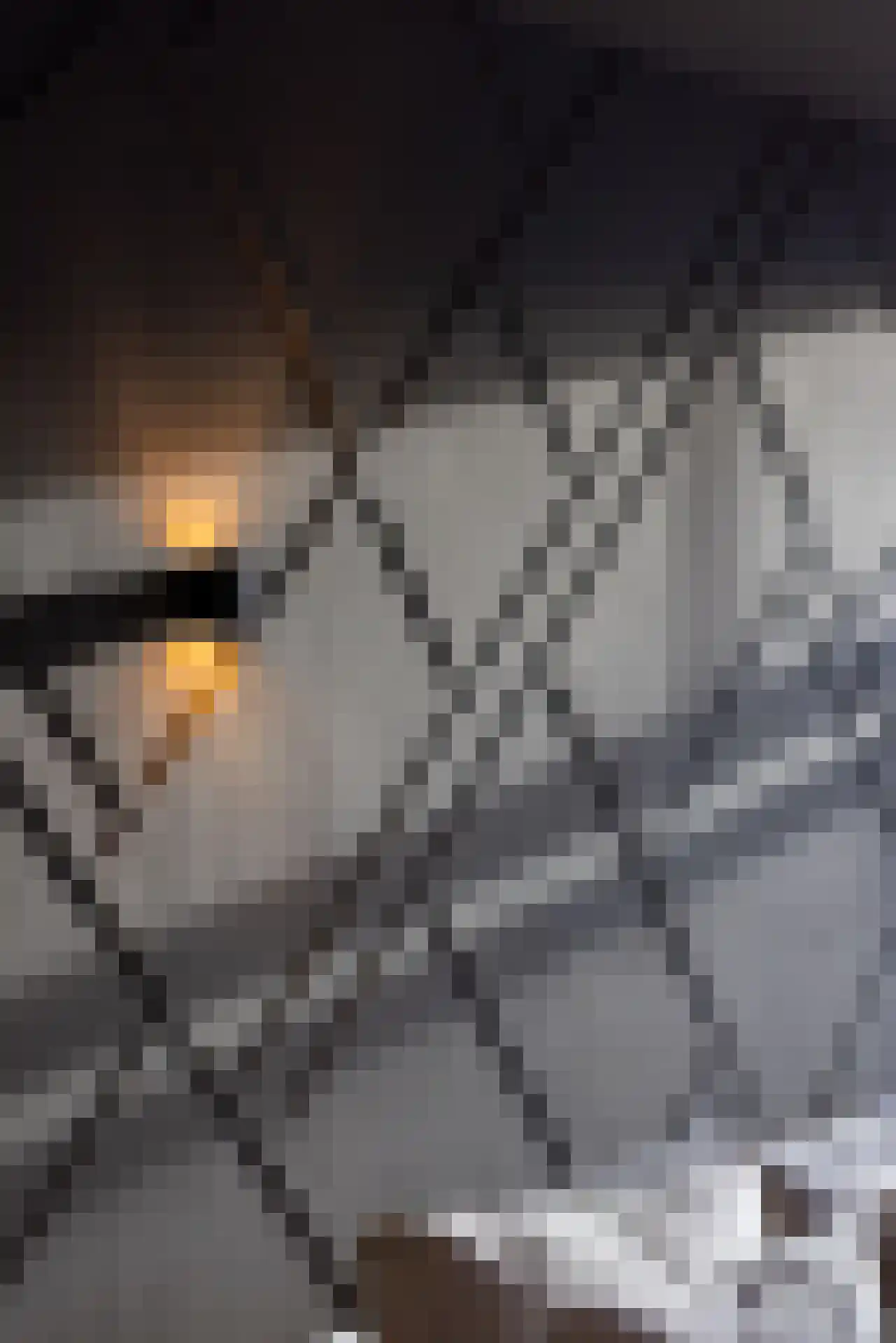Stadhoudersweg 5 Rotterdam thumbnail 9