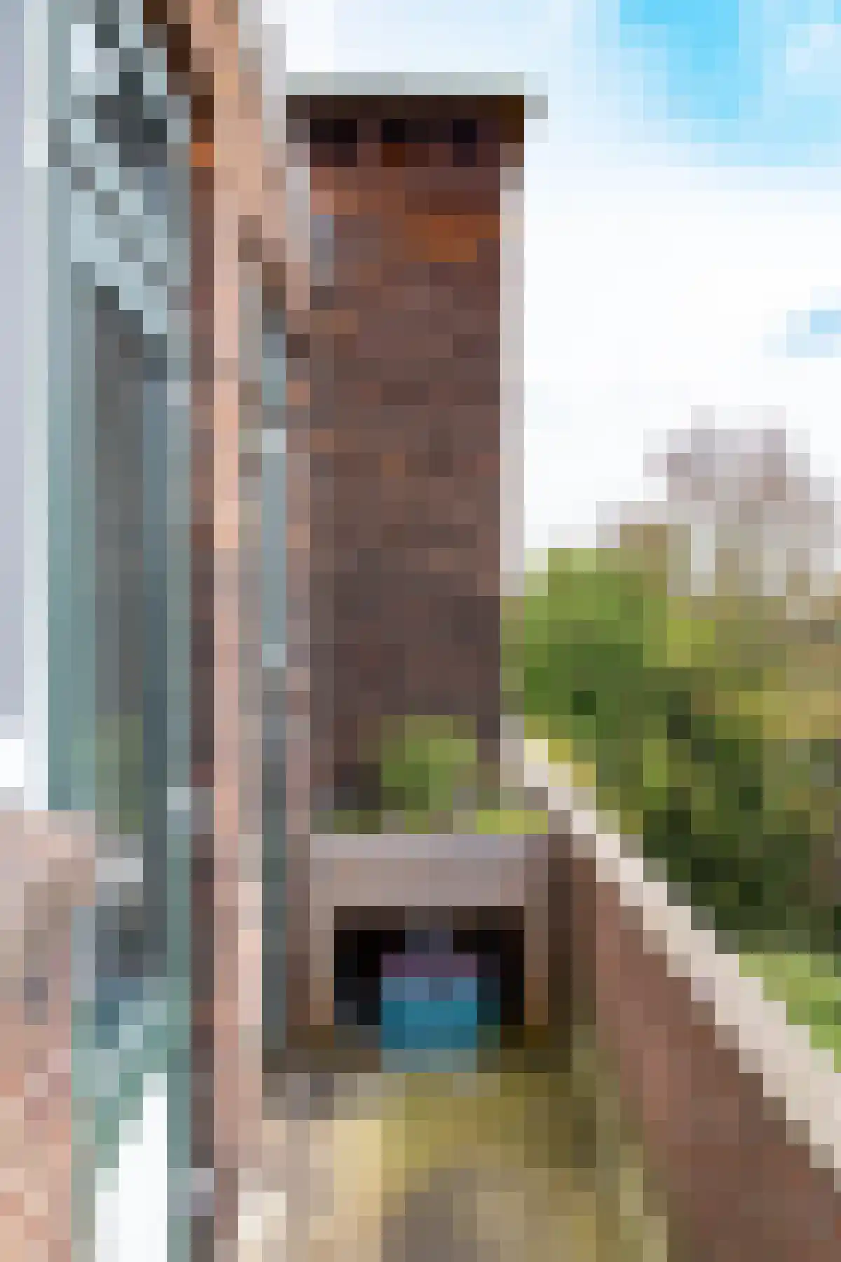 Stadhoudersweg 50 Rotterdam thumbnail 6