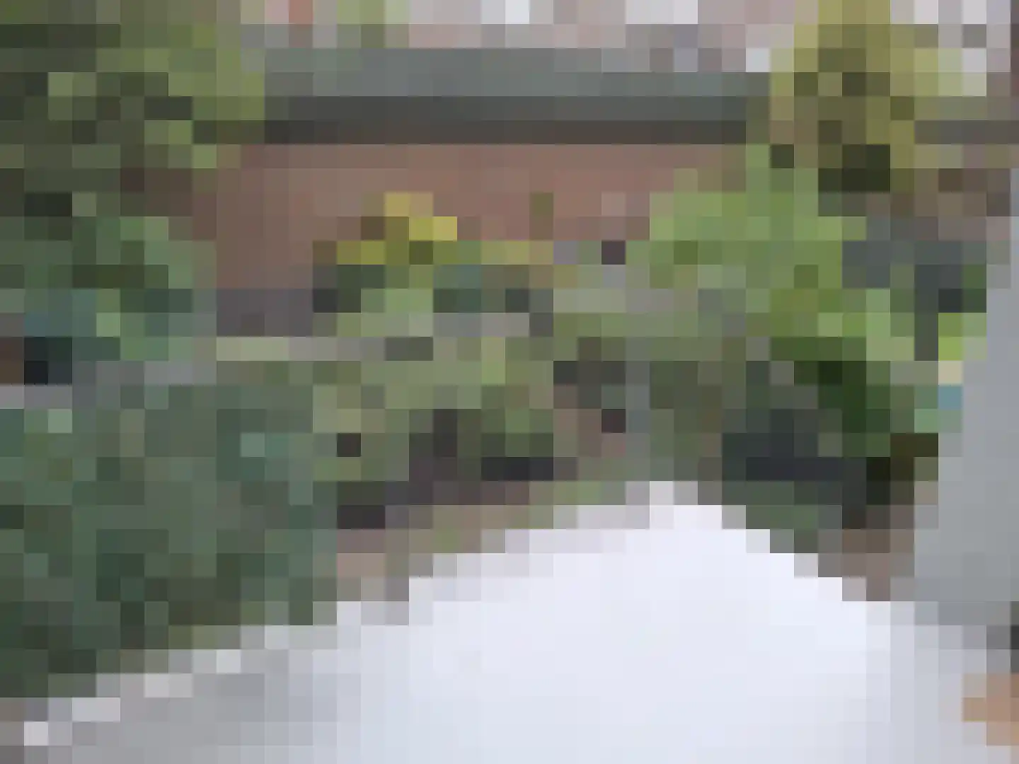 Stadhoudersweg 53 A Rotterdam thumbnail 11
