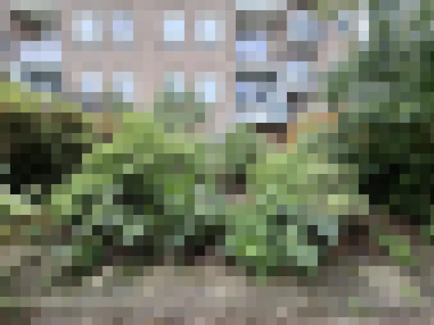Stadhoudersweg 53 A Rotterdam thumbnail 12