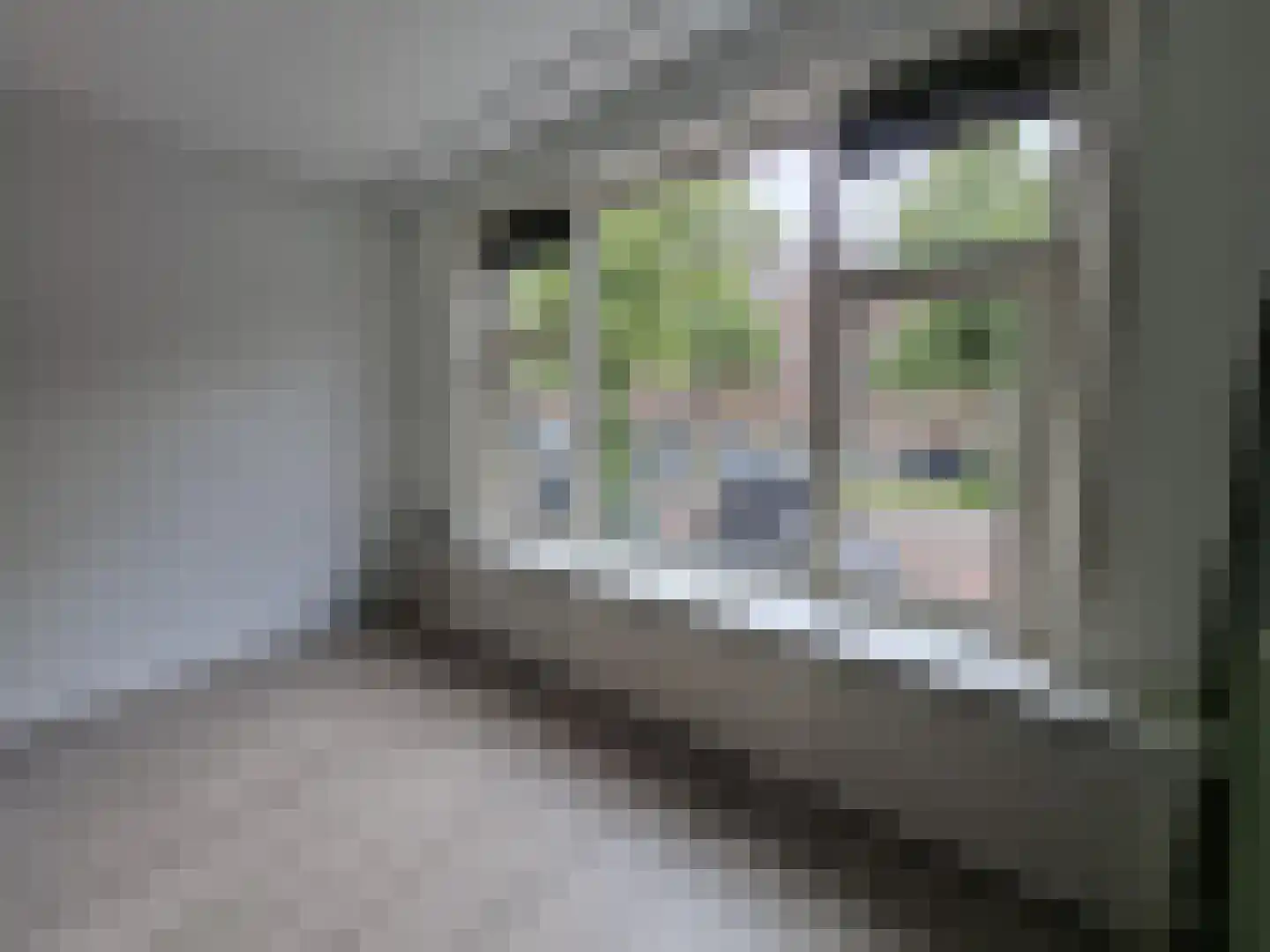 Stadhoudersweg 53 A Rotterdam thumbnail 6