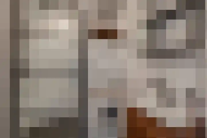 Stadhoudersweg 53 D Rotterdam thumbnail 17