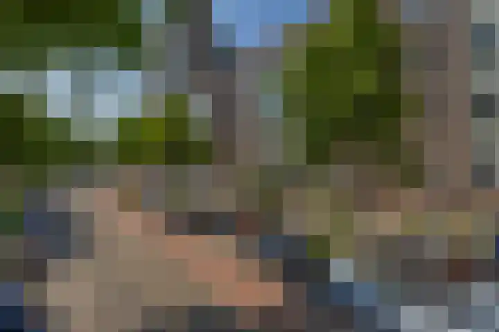 Stadhoudersweg 53 D Rotterdam thumbnail 5