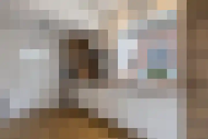 Stadhoudersweg 54 St.-Annaparochie thumbnail 23