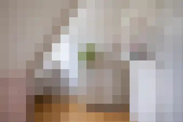 Stadhoudersweg 54 St.-Annaparochie thumbnail 42