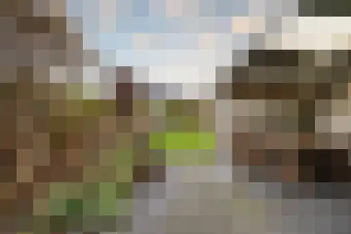 Stadhoudersweg 54 St.-Annaparochie thumbnail 46