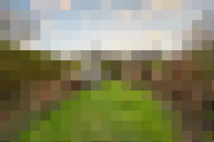 Stadhoudersweg 54 St.-Annaparochie thumbnail 47