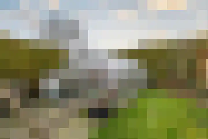 Stadhoudersweg 54 St.-Annaparochie thumbnail 48