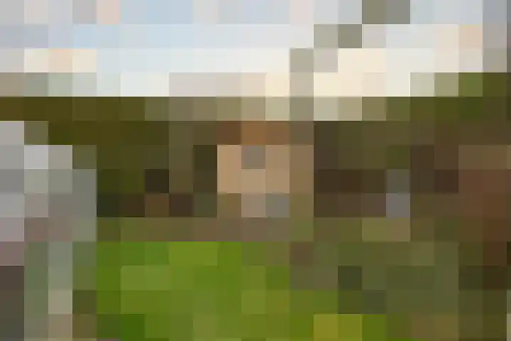 Stadhoudersweg 54 St.-Annaparochie thumbnail 49