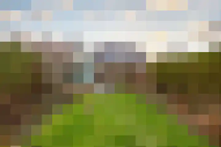 Stadhoudersweg 54 St.-Annaparochie thumbnail 50