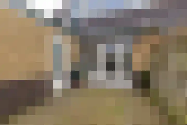 Stadhoudersweg 54 St.-Annaparochie thumbnail 54