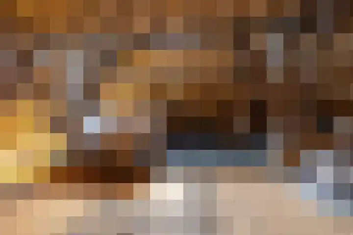 Stadhoudersweg 58 St.-Annaparochie thumbnail 62